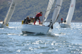 sea-pie of cultra gbr4254 ss13 fri 0416